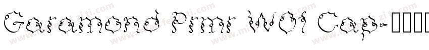 Garamond Prmr W01 Cap字体转换